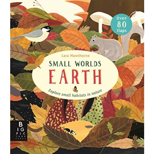 Templar Publishing Small Worlds: Earth (bok, board book, eng)