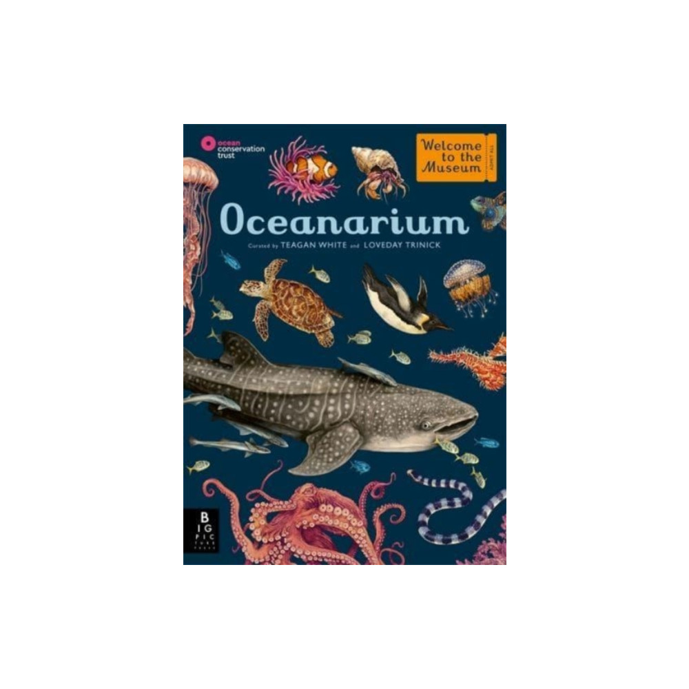 Produktbild för Oceanarium (inbunden, eng)