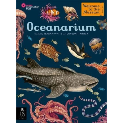 Templar Publishing Oceanarium (inbunden, eng)