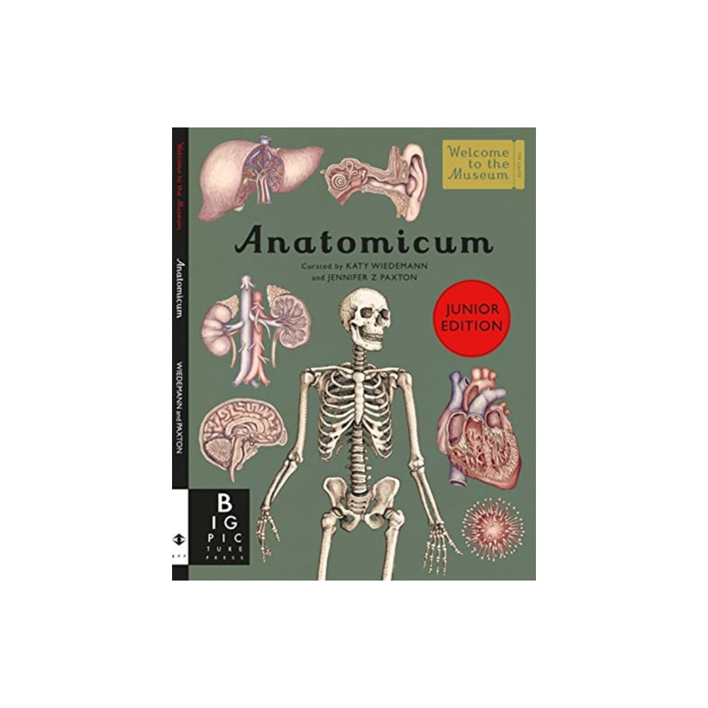 Produktbild för Anatomicum Junior (inbunden, eng)