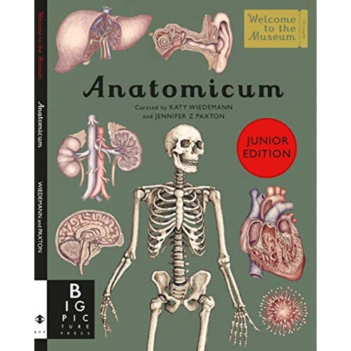 Templar Publishing Anatomicum Junior (inbunden, eng)