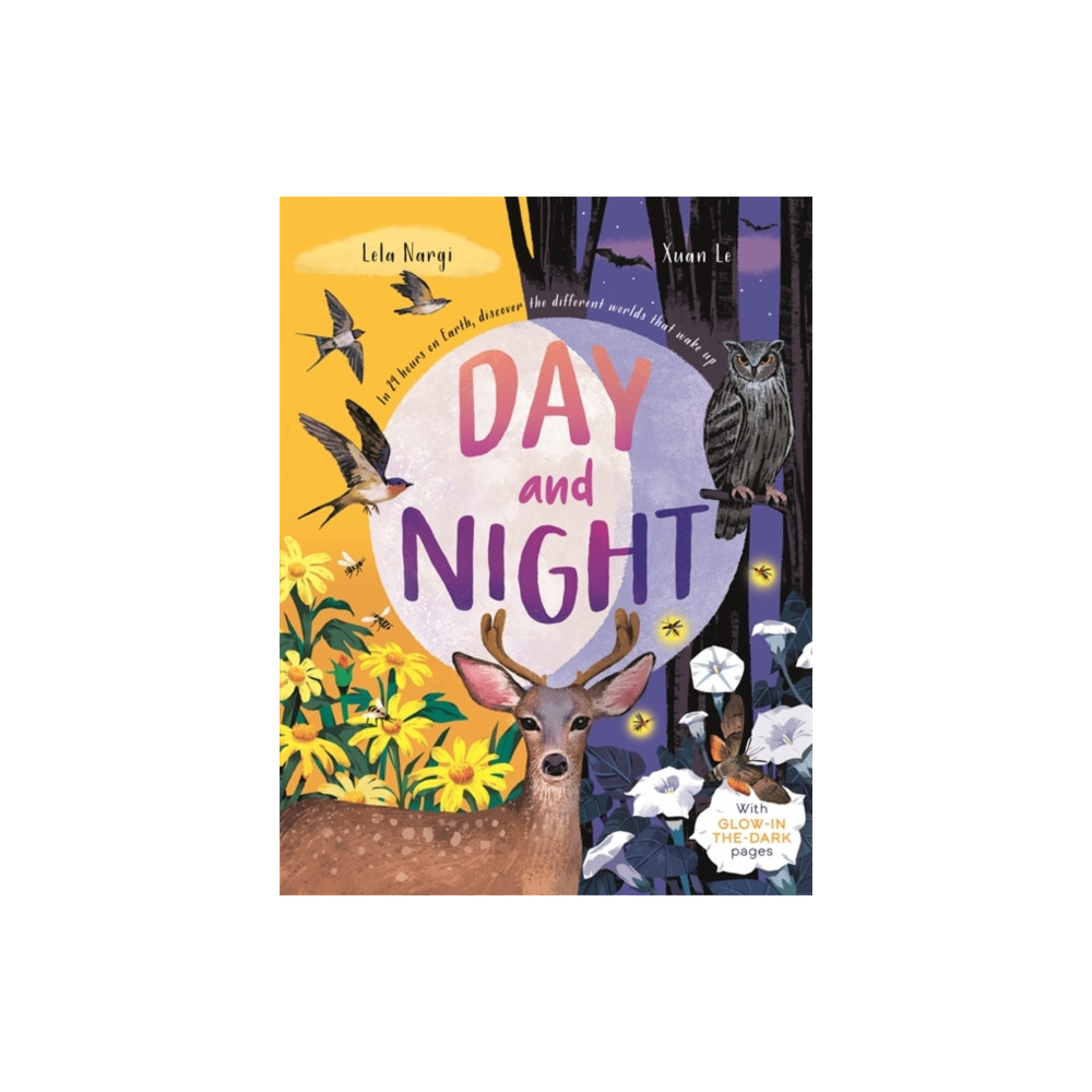 Produktbild för Day and Night (inbunden, eng)