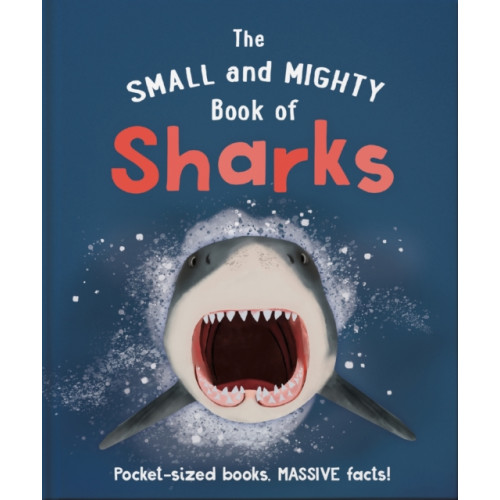 Hachette Children's Group The Small and Mighty Book of Sharks (inbunden, eng)