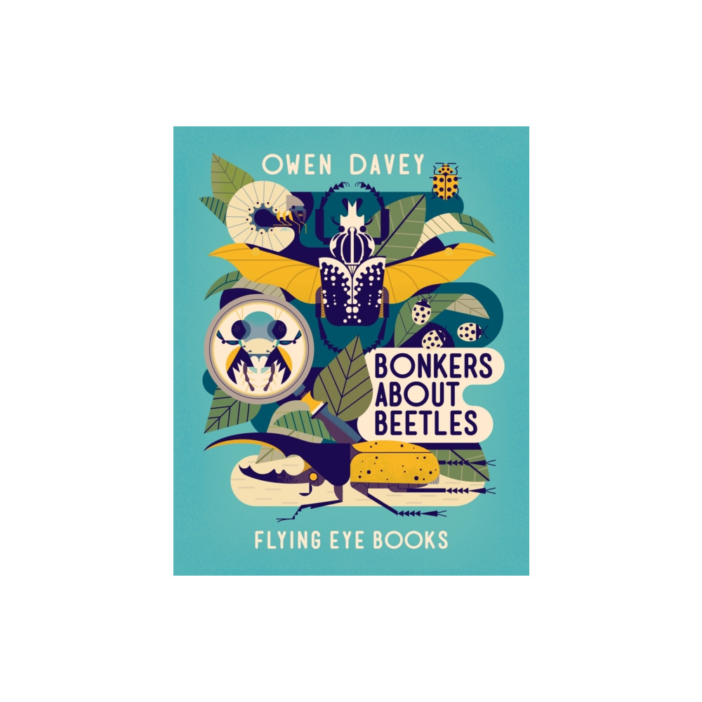 Produktbild för Bonkers About Beetles (häftad, eng)