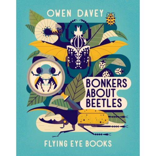 Flying Eye Books Bonkers About Beetles (häftad, eng)