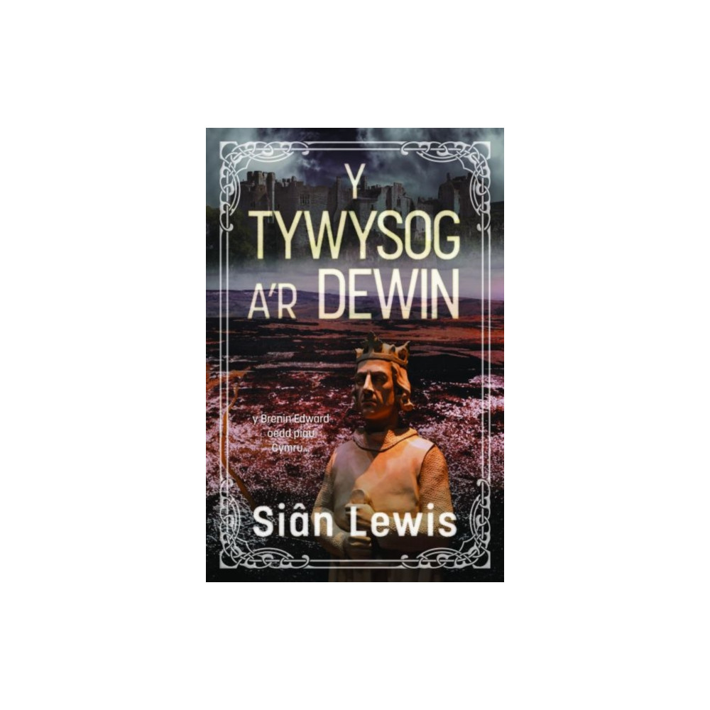 Produktbild för Y Tywysog a'r Dewin (häftad, wel)