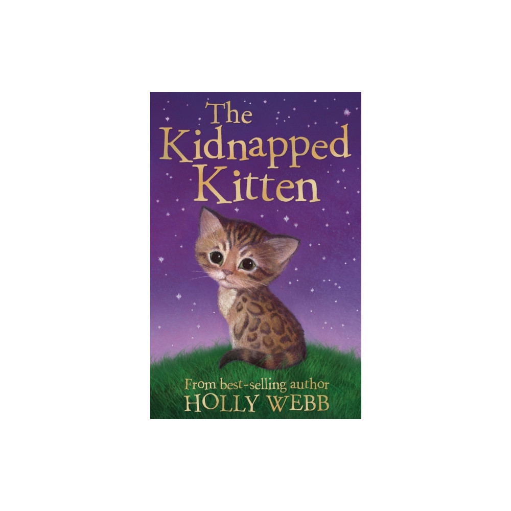 Produktbild för The Kidnapped Kitten (häftad, eng)