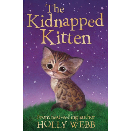 Little Tiger Press Group The Kidnapped Kitten (häftad, eng)