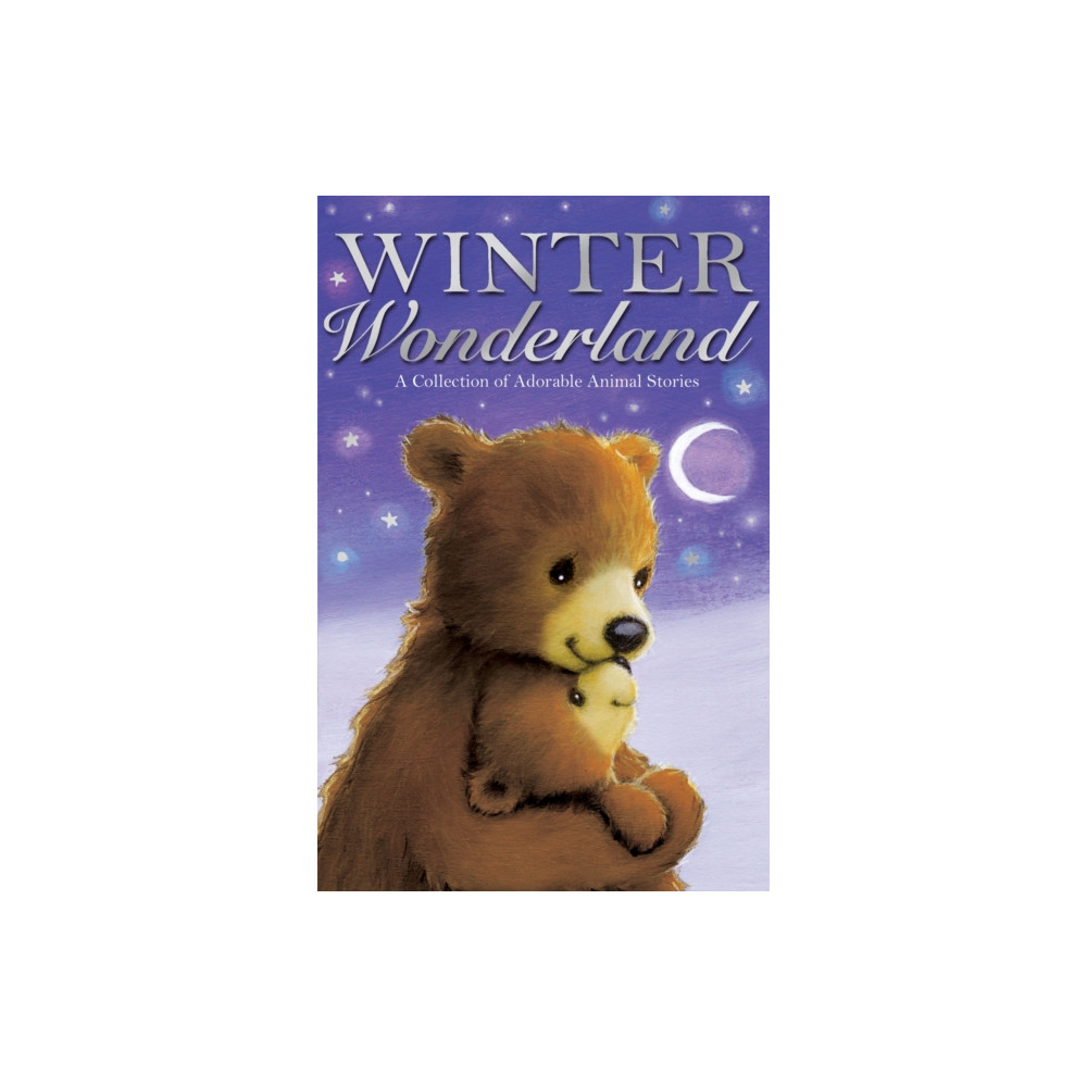 Produktbild för Winter Wonderland (häftad, eng)