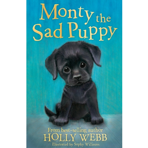 Little Tiger Press Group Monty the Sad Puppy (häftad, eng)