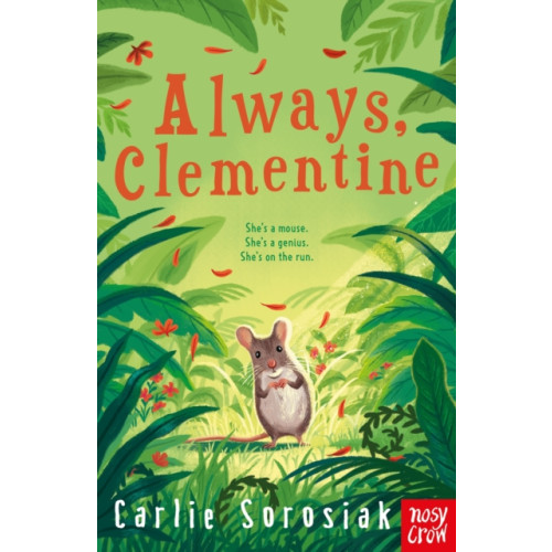 Nosy Crow Ltd Always, Clementine (häftad, eng)