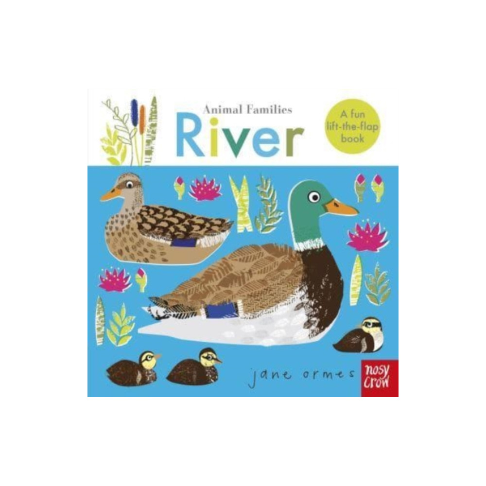 Produktbild för Animal Families: River (bok, board book, eng)