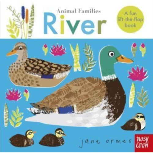 Nosy Crow Ltd Animal Families: River (bok, board book, eng)