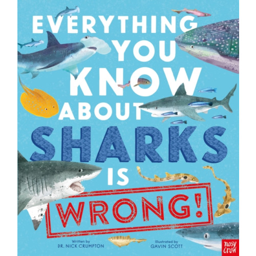 Nosy Crow Ltd Everything You Know About Sharks is Wrong! (inbunden, eng)