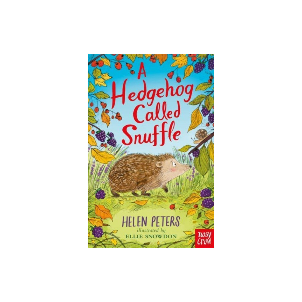 Produktbild för A Hedgehog Called Snuffle (häftad, eng)