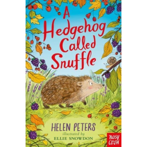 Nosy Crow Ltd A Hedgehog Called Snuffle (häftad, eng)