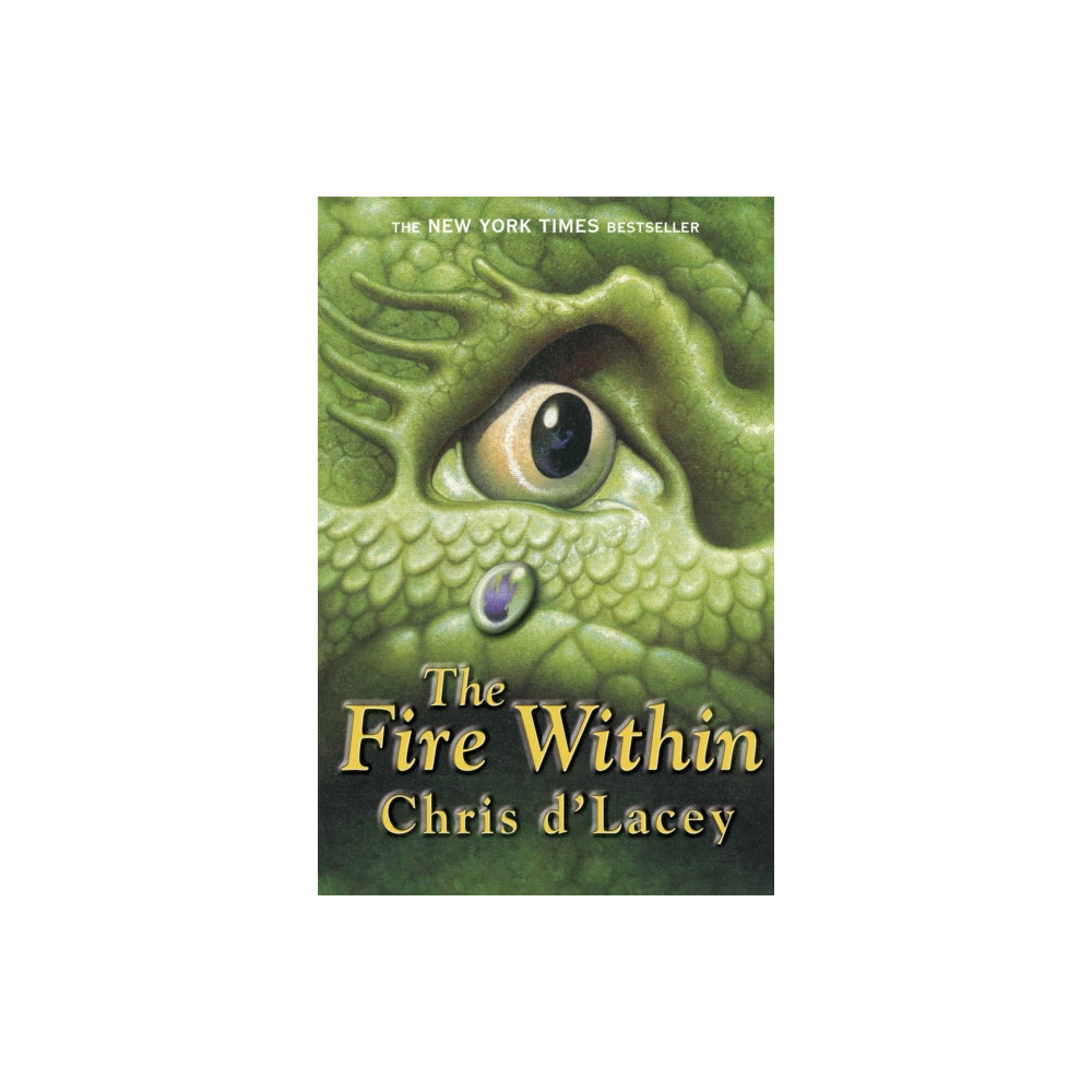Produktbild för The Last Dragon Chronicles: The Fire Within (häftad, eng)