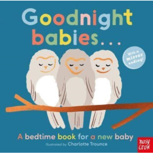 Nosy Crow Ltd Goodnight Babies . . . (bok, board book, eng)
