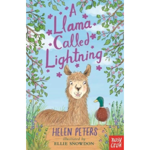 Nosy Crow Ltd A Llama Called Lightning (häftad, eng)