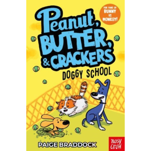 Nosy Crow Ltd Doggy School (häftad, eng)