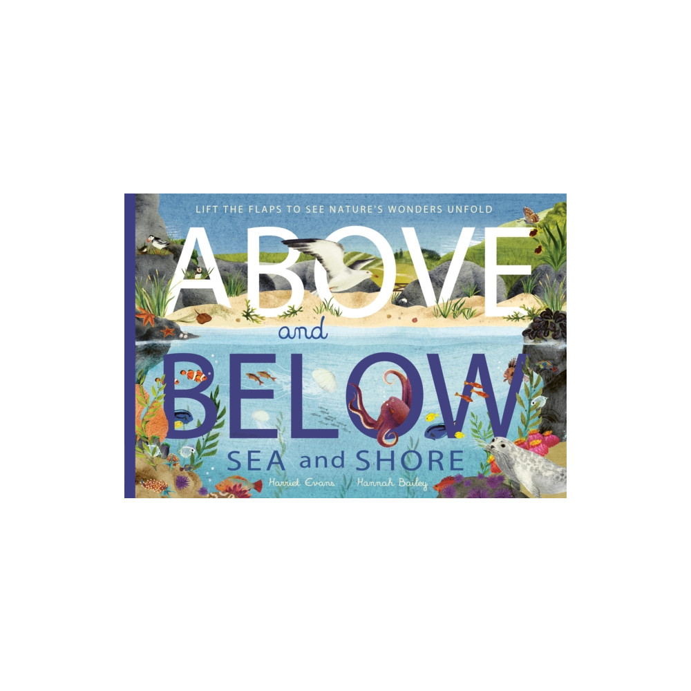 Produktbild för Above and Below: Sea and Shore (häftad, eng)