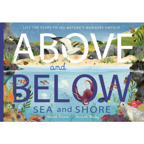 Little Tiger Press Group Above and Below: Sea and Shore (häftad, eng)