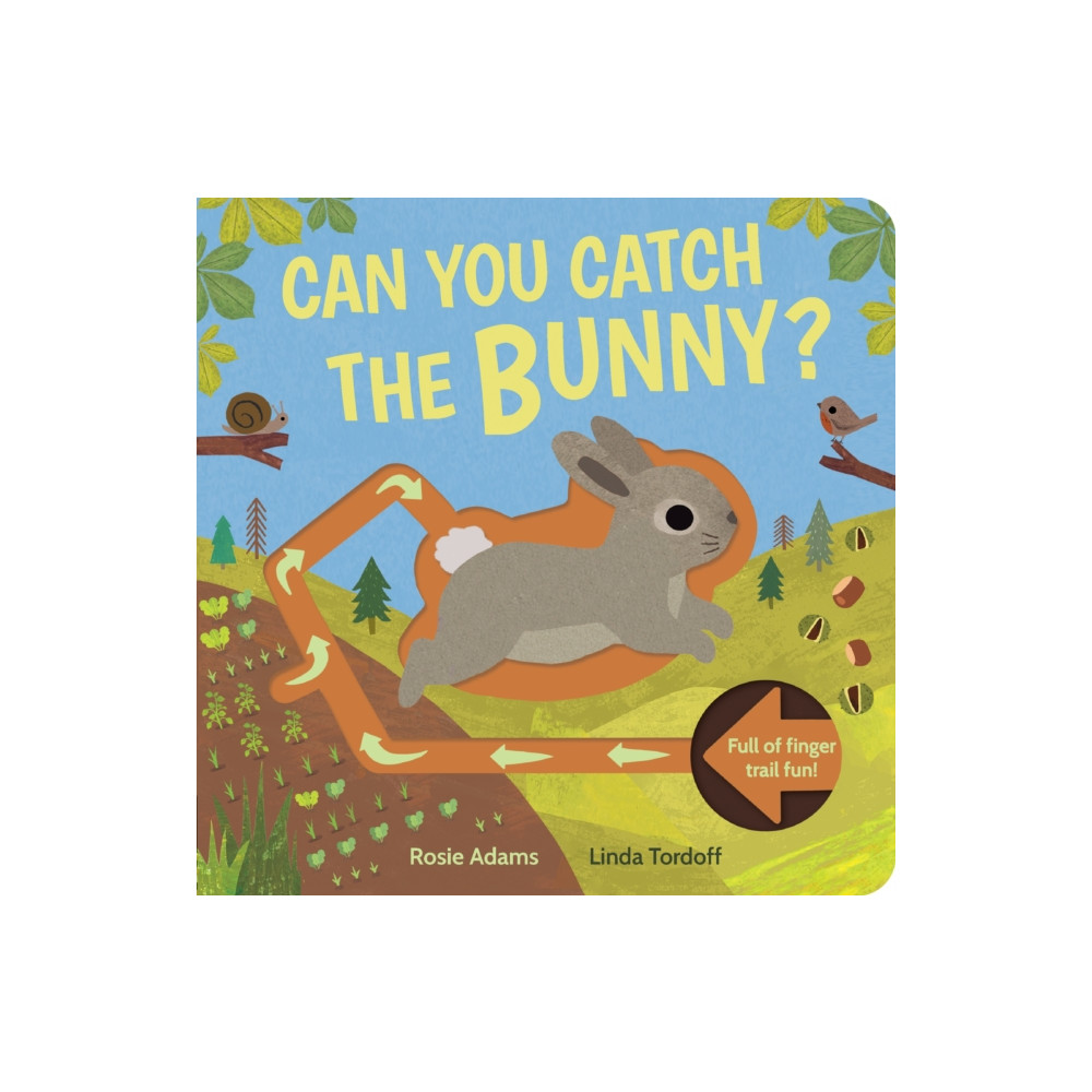 Produktbild för Can You Catch the Bunny? (bok, board book, eng)