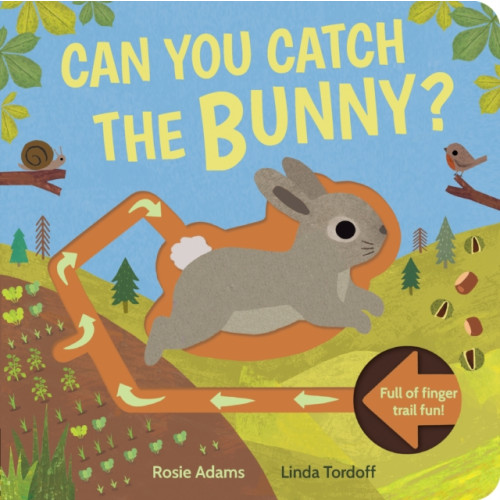 Little Tiger Press Group Can You Catch the Bunny? (bok, board book, eng)