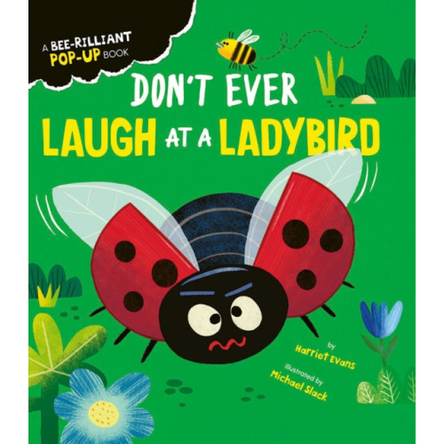 Little Tiger Press Group Don't Ever Laugh at a Ladybird (bok, board book, eng)