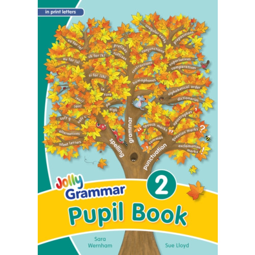 Jolly Learning Ltd Grammar 2 Pupil Book (häftad, eng)