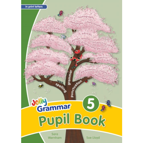 Jolly Learning Ltd Grammar 5 Pupil Book (häftad, eng)