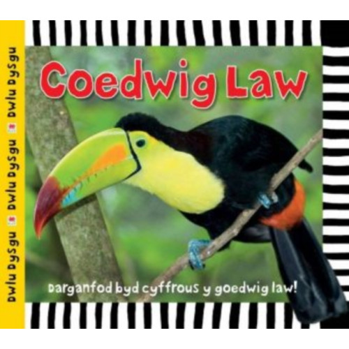 Rily Publications Ltd Cyfres Dwlu Dysgu: Coedwig Law (inbunden, wel)