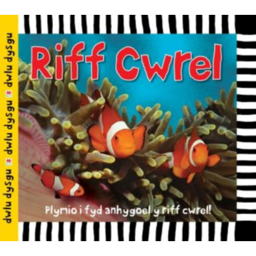 Rily Publications Ltd Cyfres Dwlu Dysgu: Riff Cwrel (inbunden, wel)
