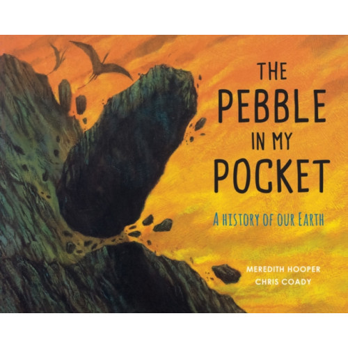 Quarto Publishing Plc The Pebble in My Pocket (häftad, eng)