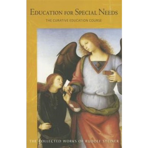 Rudolf Steiner Press Education for Special Needs (häftad, eng)