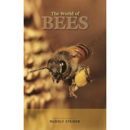 Rudolf Steiner Press The World of Bees (häftad, eng)