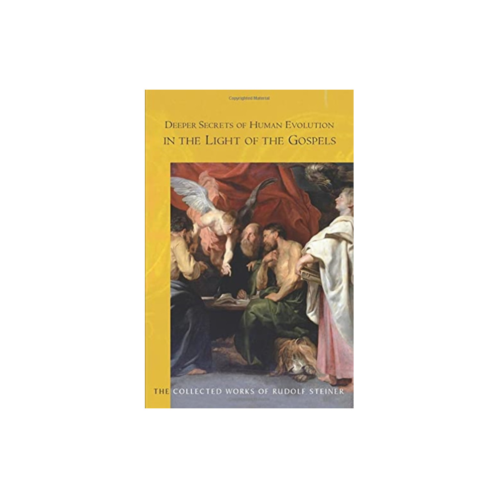 Produktbild för Deeper Secrets of Human Evolution in Light of the Gospels (häftad, eng)
