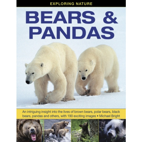 Anness publishing Exploring Nature: Bears & Pandas (inbunden, eng)