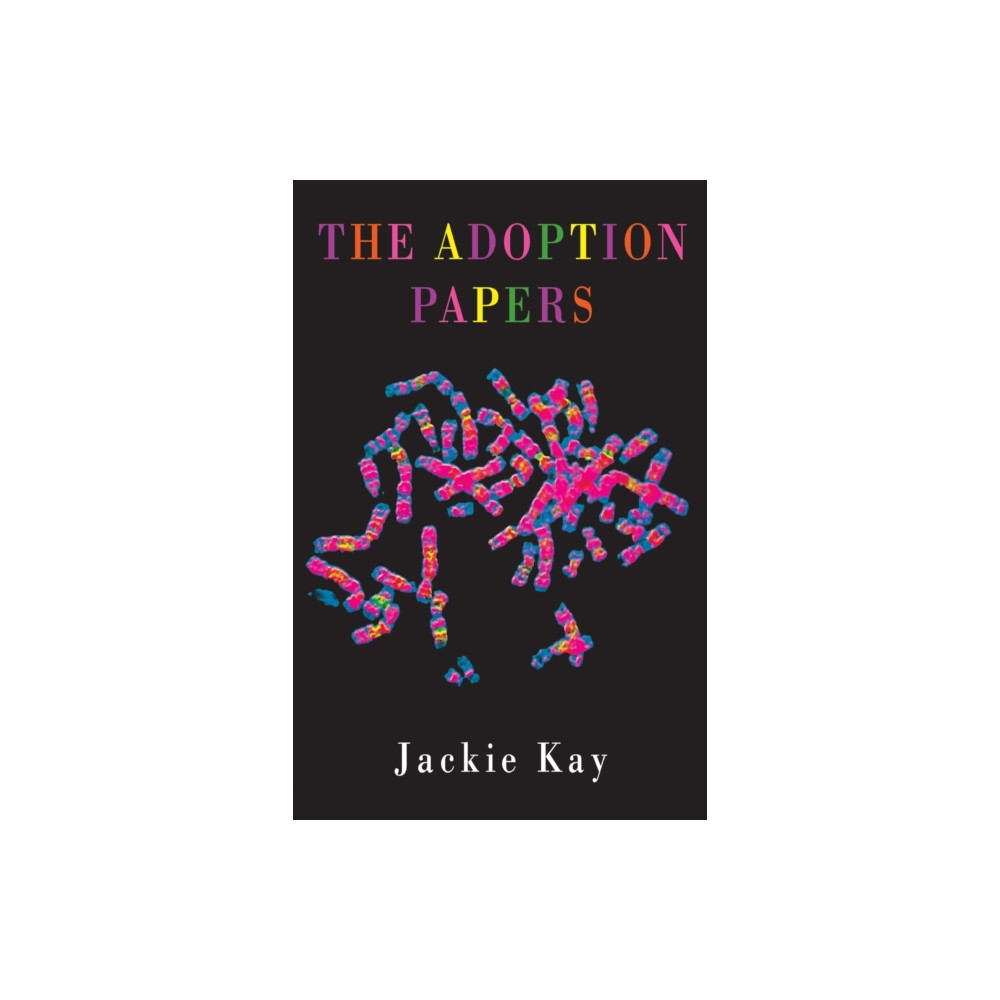 Produktbild för The Adoption Papers (häftad, eng)
