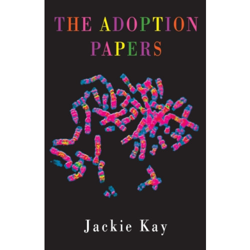 Bloodaxe Books Ltd The Adoption Papers (häftad, eng)