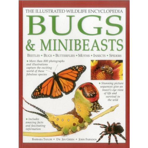 Anness publishing Illustrated Wildlife Encyclopedia: Bugs & Minibeasts (inbunden, eng)