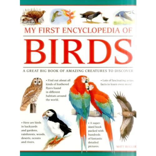 Anness publishing My First Encylopedia of Birds (giant Size) (häftad, eng)