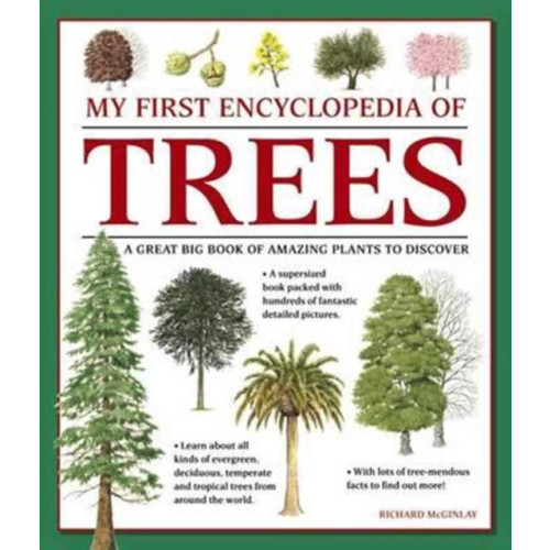 Anness publishing My First Encyclopedia of Trees (giant Size) (häftad, eng)