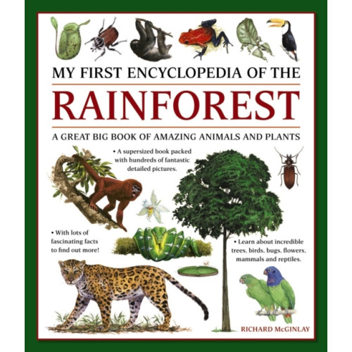 Anness publishing My First Encyclopedia of the Rainforest (häftad, eng)