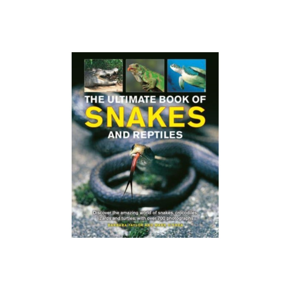 Produktbild för Snakes and Reptiles, Ultimate Book of (inbunden, eng)