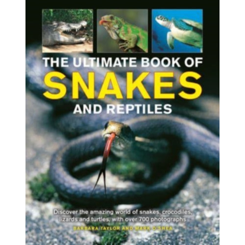 Anness publishing Snakes and Reptiles, Ultimate Book of (inbunden, eng)