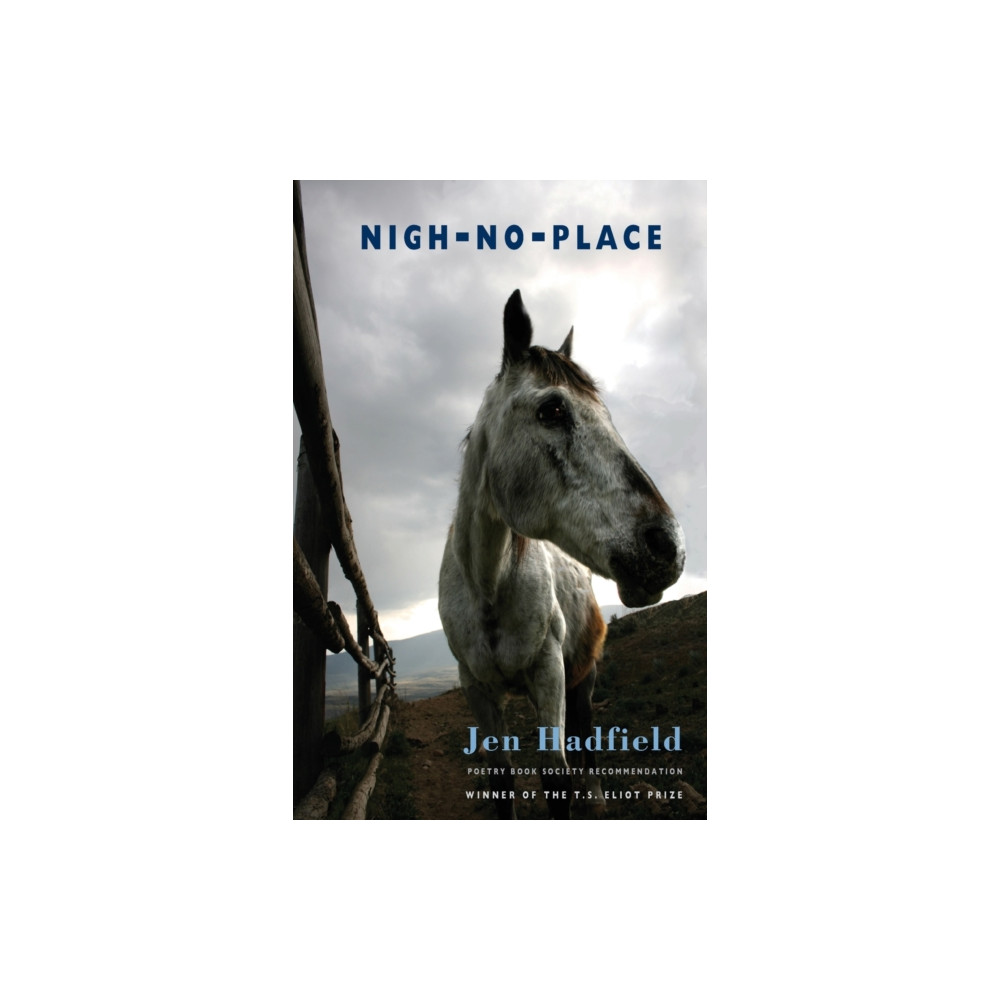 Produktbild för Nigh-No-Place (häftad, eng)