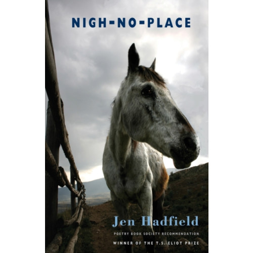 Bloodaxe Books Ltd Nigh-No-Place (häftad, eng)