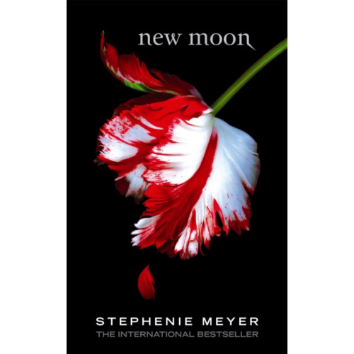 Little, Brown Book Group New Moon (häftad, eng)