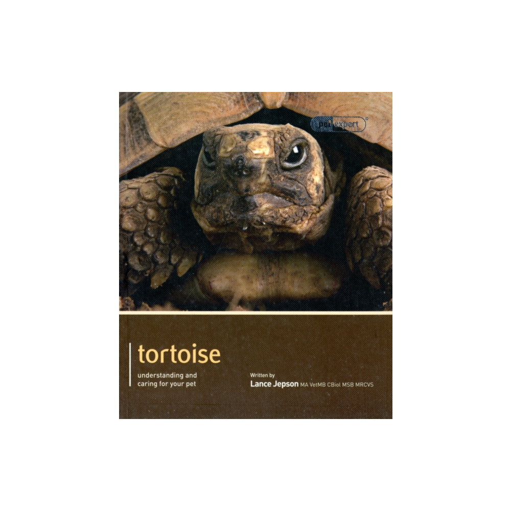Produktbild för Tortoise - Pet Expert (häftad, eng)